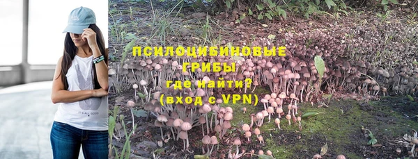 прущие крисы Алексеевка